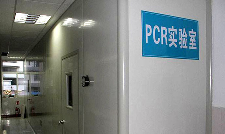 PCR實驗室建設