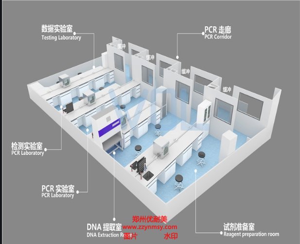 PCR實驗室裝修設計效果圖
