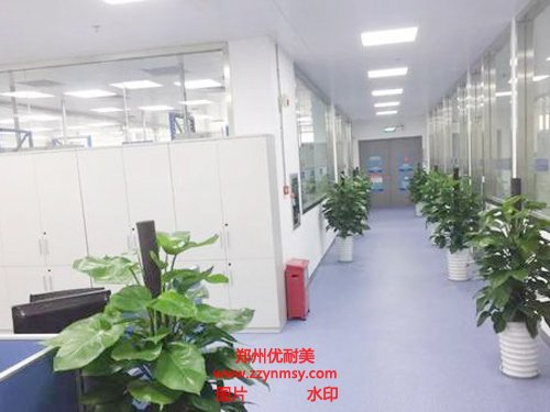 P2實驗室裝修設計